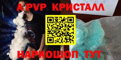 стафф Камышлов