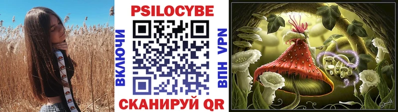 Псилоцибиновые грибы Magic Shrooms  как найти наркотики  Гагарин 