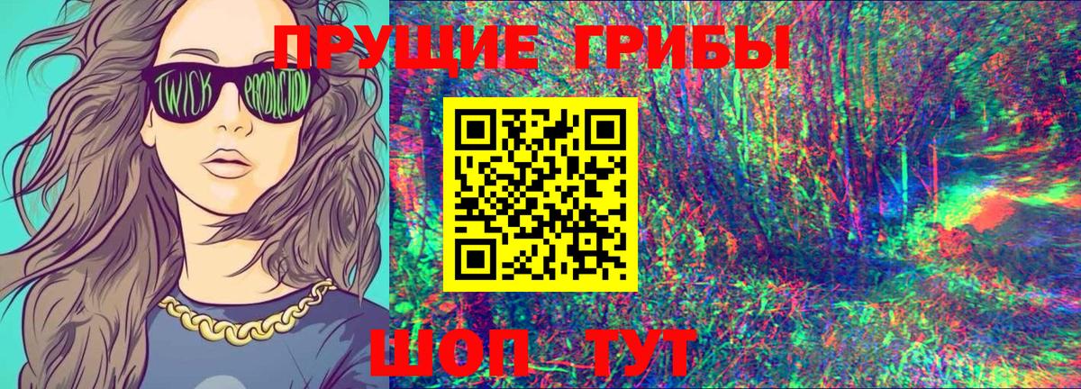 Галлюциногенные грибы Psilocybe Гагарин