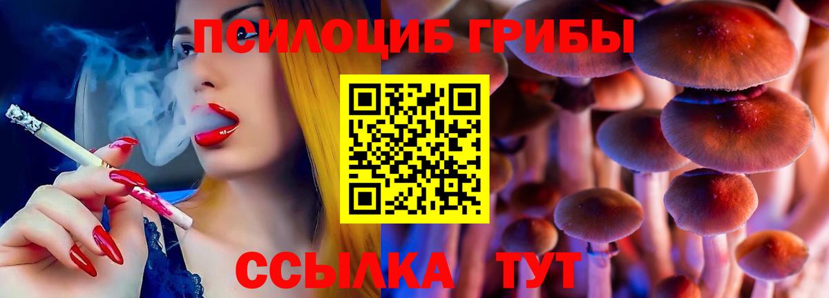 Галлюциногенные грибы Cubensis  где купить   Галлюциногенные грибы Psilocybine cubensis  Гагарин 